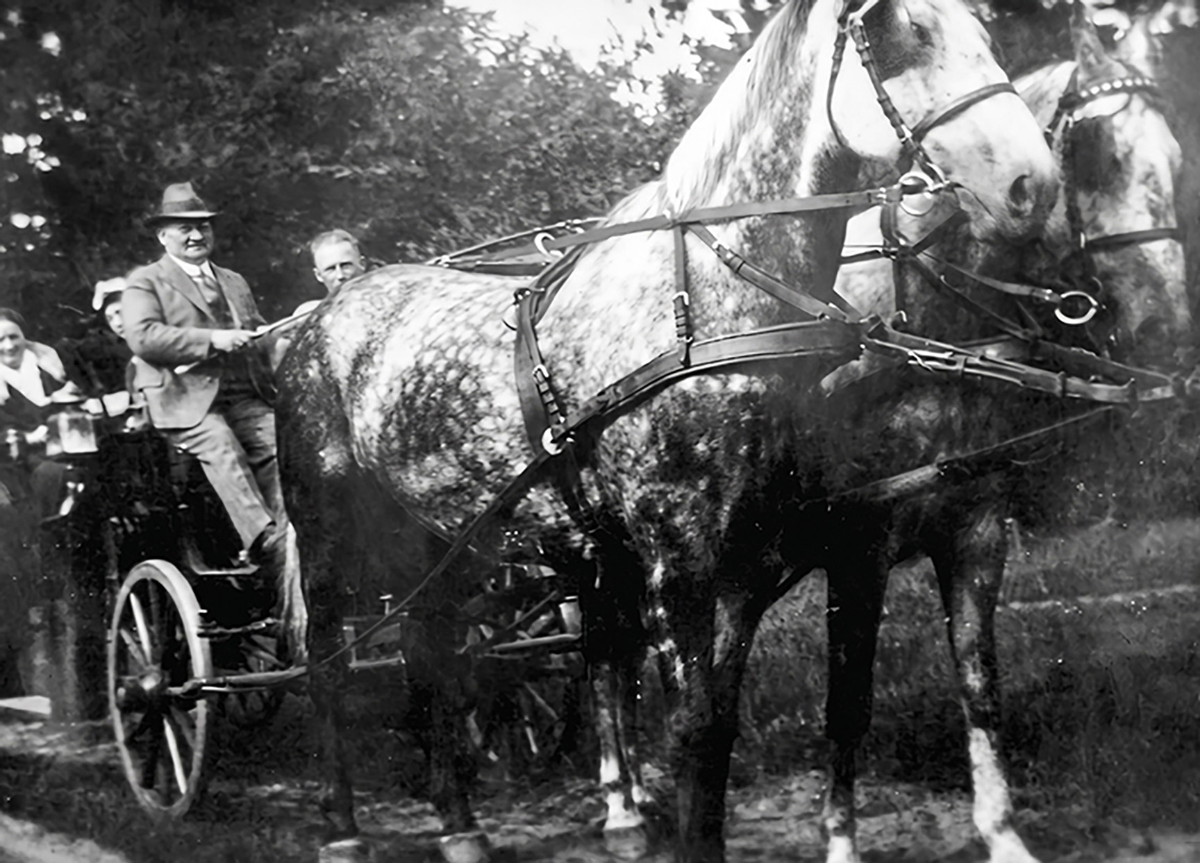 Historisches Schwarz-Weiß-Foto einer Pferdekutsche mit zwei Apfelschimmeln, gelenkt von Hermann Boest.